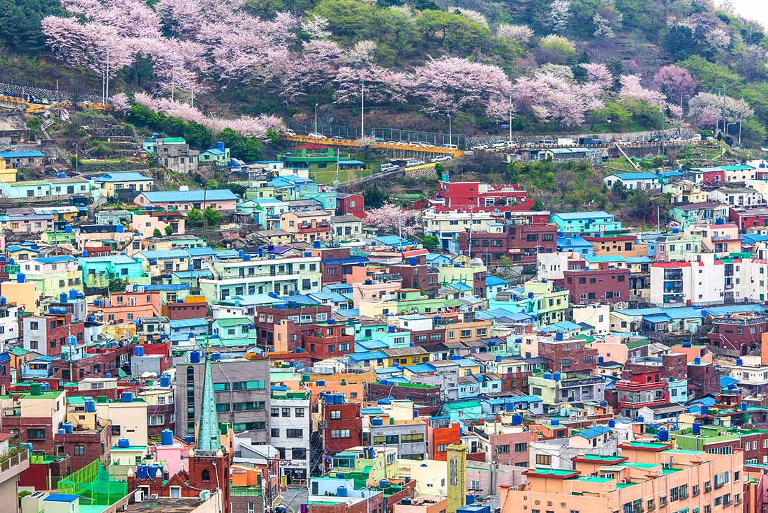 Beautiful colours of Gamcheon Culture Village, Busan, South Korea