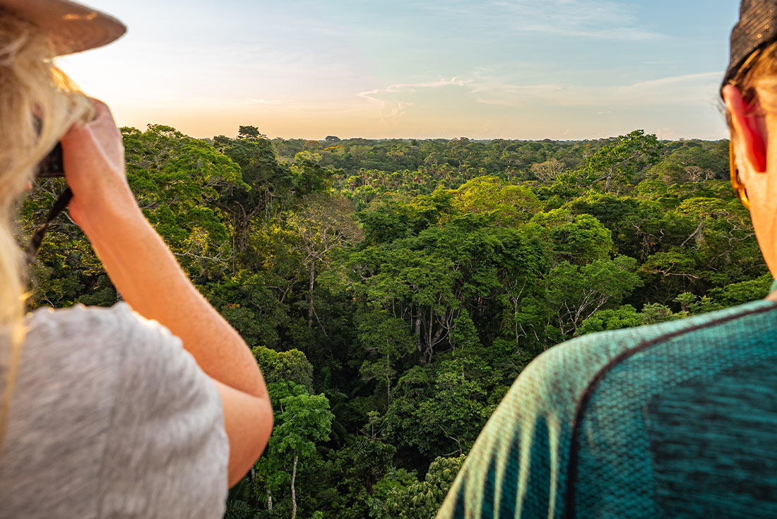 GGPI - View of Amazon Jungle from lookout in Puerto Maldonado, Peru