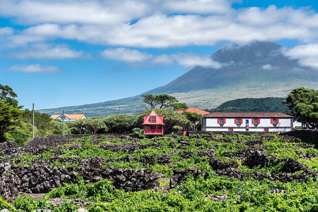 View of vineyards on Pico Island, Azores, Portugal
