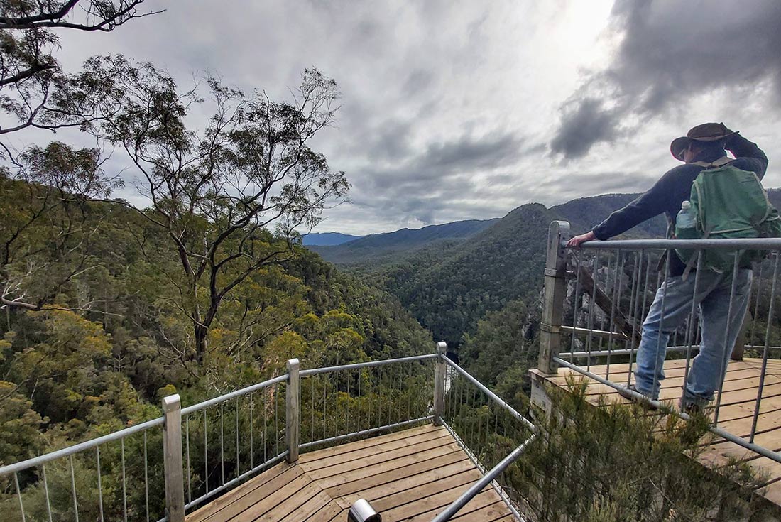 Traveller at the Alum Cliffs lookout along the Tarkine Rainforest walk, Tasmania, Australia