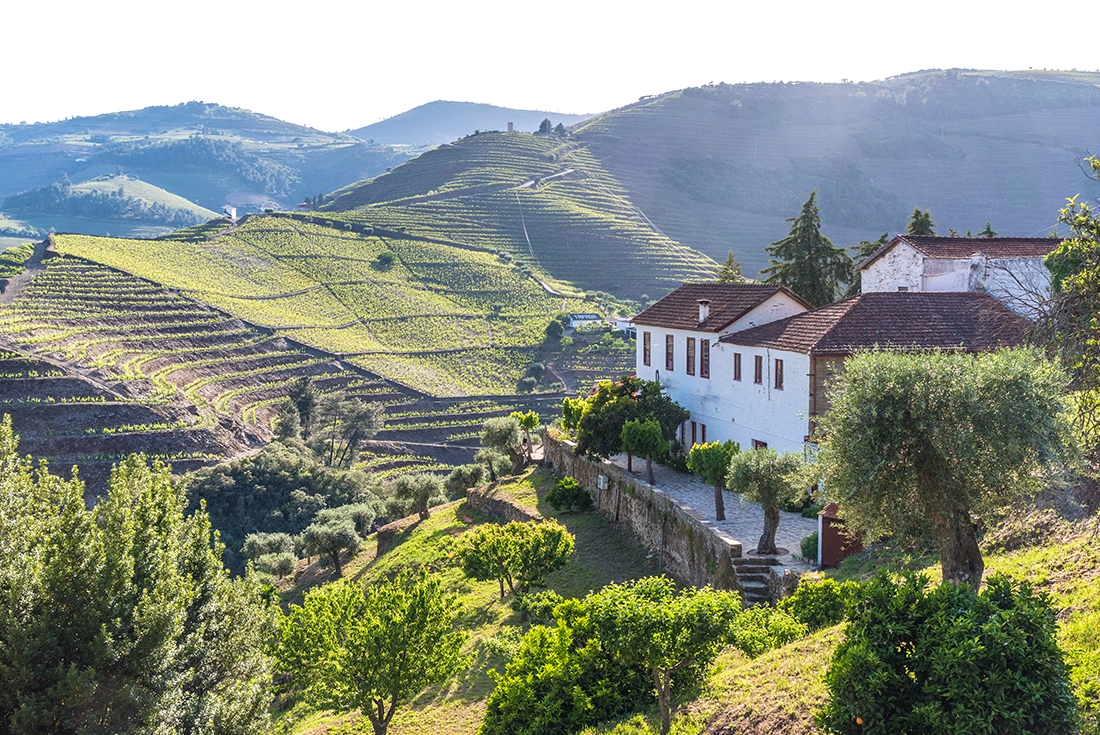 Taste the beautiful cuisine of Portugal and Galicia in our Real Food Adventure