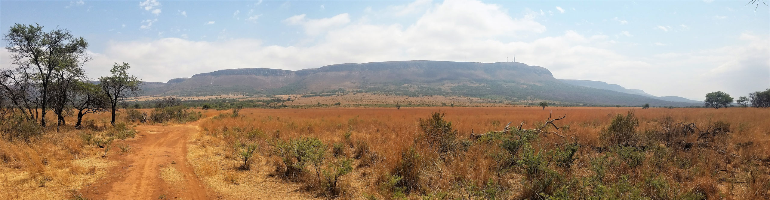 View of the savannah and mountains in the landscape near Johannesburg, South Africa