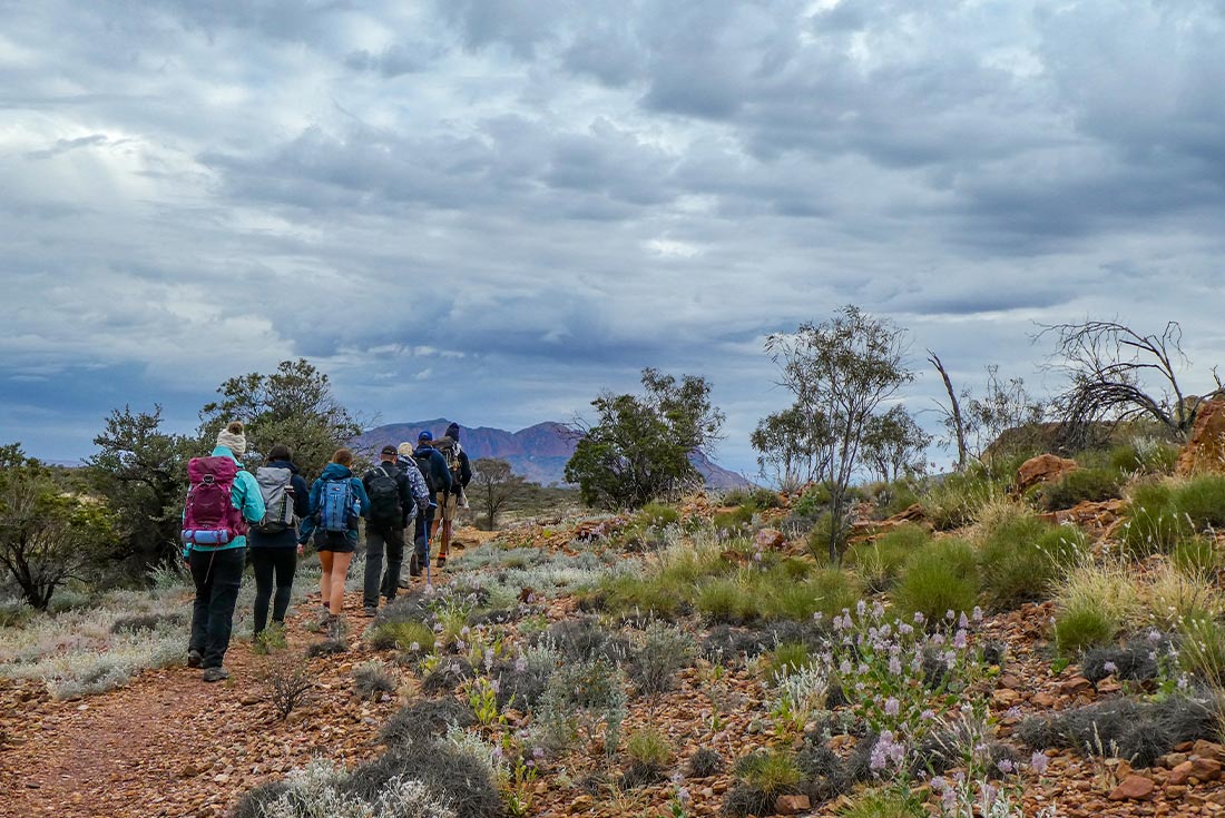 Group hiking on Larapinta Trail, Australia