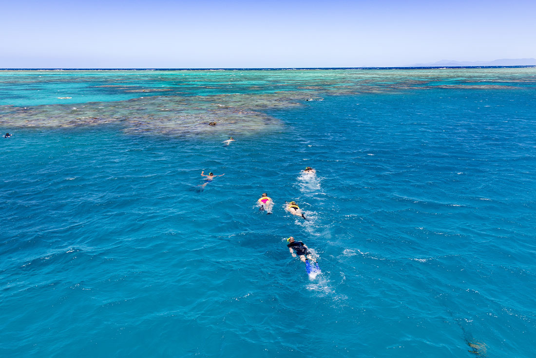 Travellers swimming in the Great Barrier Reef, Queensland, Australia